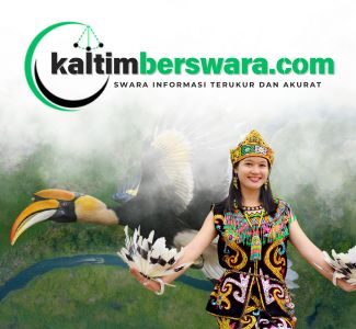 banner 325x300