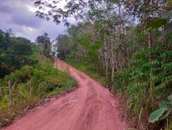 Kepala Kampung Long Beliu Desak Percepatan Perbaikan Jalan untuk Dukung Ekowisata