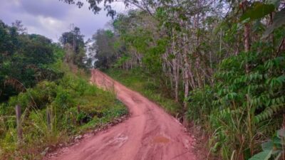 Berau Perluas Basis Produksi Pangan, Ribuan Hektare Sawah Baru Disiapkan