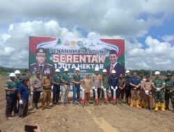 Berau Tanam Jagung Serentak, Sri Juniarsih: Wujud Nyata Ketahanan Pangan Daerah