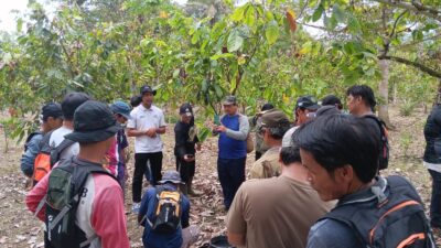 Sekolah Lapang Kakao: Disbun Kaltim Dorong Budidaya Berkelanjutan di Kutim