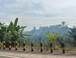 Kabut Asap Selimuti Berau, BPBD Ingatkan Bahaya Karhutla Meski Hujan Masih Turun
