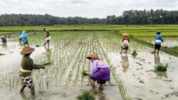 DPRD Tekankan Pemerintah Percepat Penanganan Krisis Pangan di Kampung Terpencil