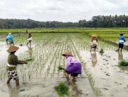 DPRD Tekankan Pemerintah Percepat Penanganan Krisis Pangan di Kampung Terpencil