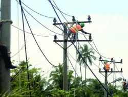 Harapkan Jaringan Listrik Mahakam Segera Terealisasi, Dedy Okto: Ini Keinginan Masyarakat