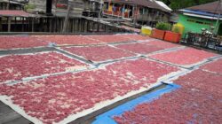 Rumah Produksi Terasi Buyung-Buyung Rampung Satu Unit, Diskoperindag Dorong Kolaborasi Antar Kampung