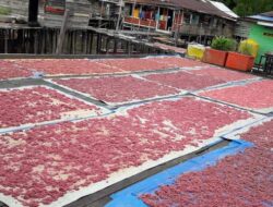 Rumah Produksi Terasi Buyung-Buyung Rampung Satu Unit, Diskoperindag Dorong Kolaborasi Antar Kampung