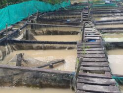 Kekeruhan Sungai Ganggu Keramba dan Air Bersih, DPRD Minta Penanganan Terpadu