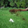 Berau Susun Ekonomi Terintegrasi, Pariwisata Bakal Jadi Penghubung Petani dan Nelayan