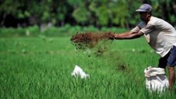 Berau Susun Ekonomi Terintegrasi, Pariwisata Bakal Jadi Penghubung Petani dan Nelayan