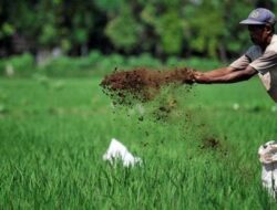 Berau Susun Ekonomi Terintegrasi, Pariwisata Bakal Jadi Penghubung Petani dan Nelayan