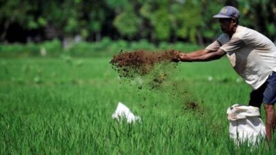 Berau Susun Ekonomi Terintegrasi, Pariwisata Bakal Jadi Penghubung Petani dan Nelayan