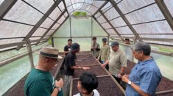 Disbudpar Berau Dorong Kopi Lokal Jadi Ikon Pariwisata, Festival hingga Sajian Penyambutan Wisatawan Disiapkan