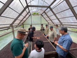 Disbudpar Berau Dorong Kopi Lokal Jadi Ikon Pariwisata, Festival hingga Sajian Penyambutan Wisatawan Disiapkan